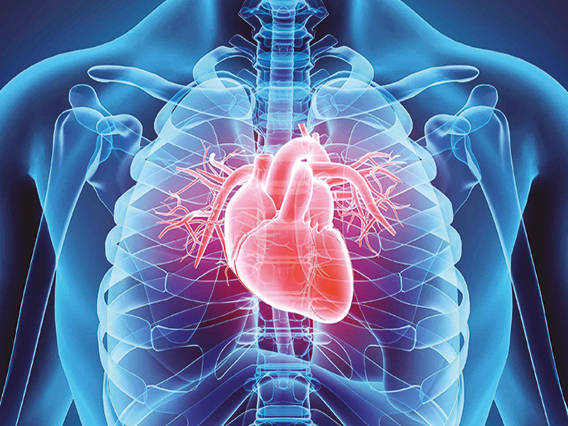 Campagna prevenzione: MALATTIE CARDIOVASCOLARI